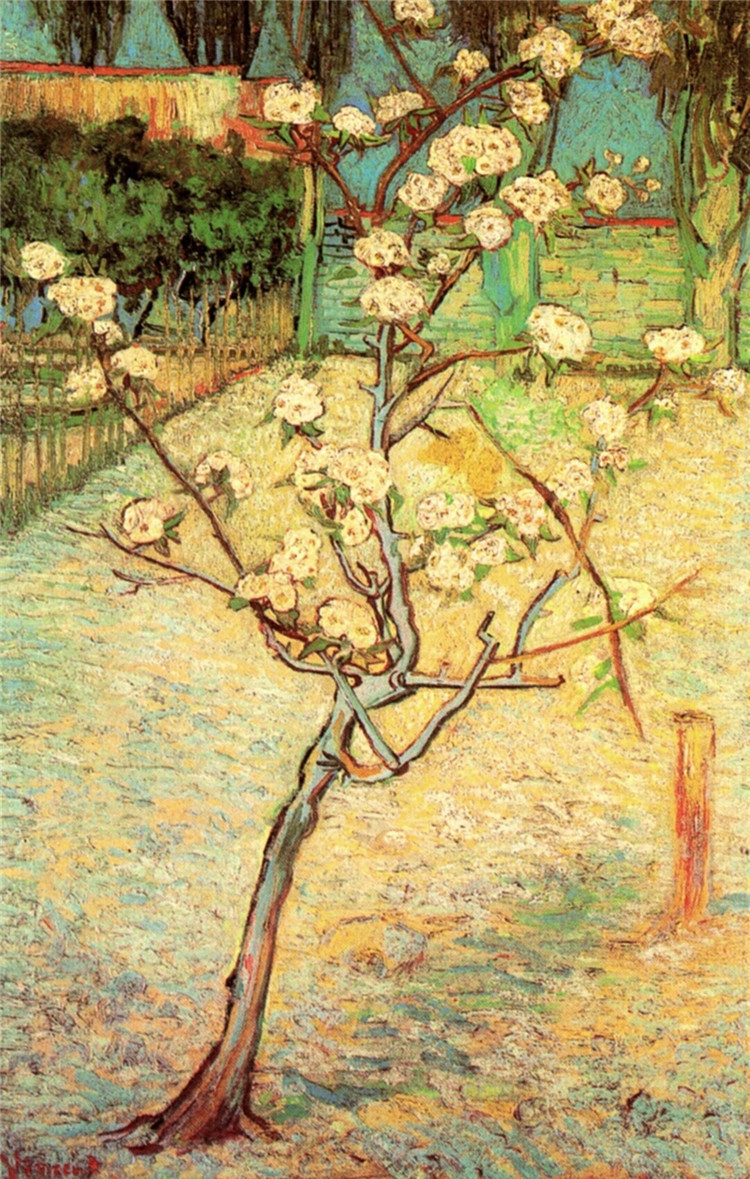Blossoming Pear Tree Van Gogh Oil Painting